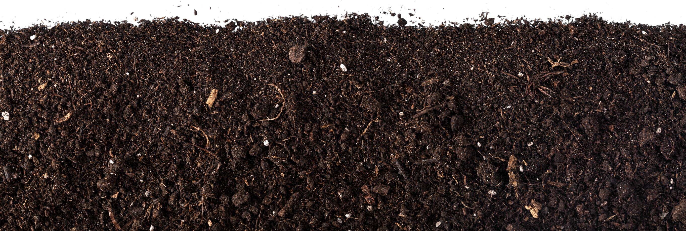 Dirt.